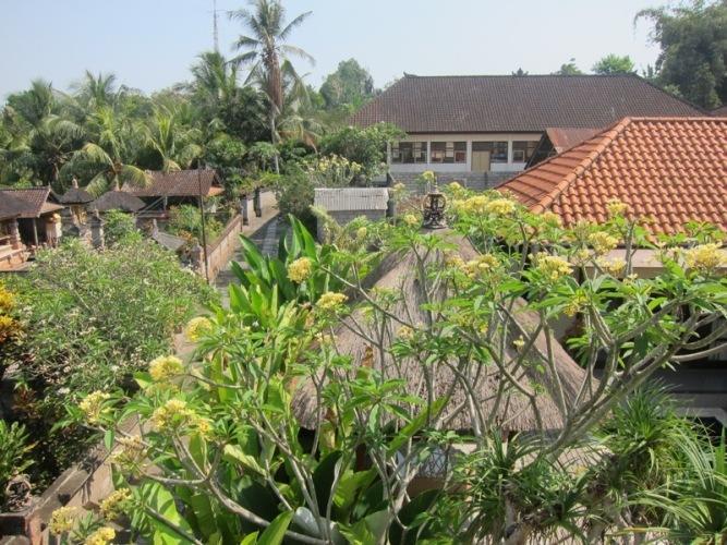 Villa Paper Lotus *